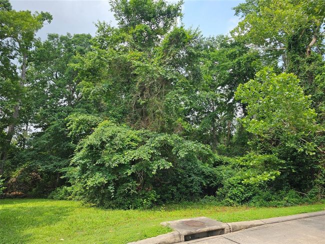 4813 W Fork Blvd, Home with 0 bedrooms, 0 bathrooms and null parking in Conroe TX | Image 4