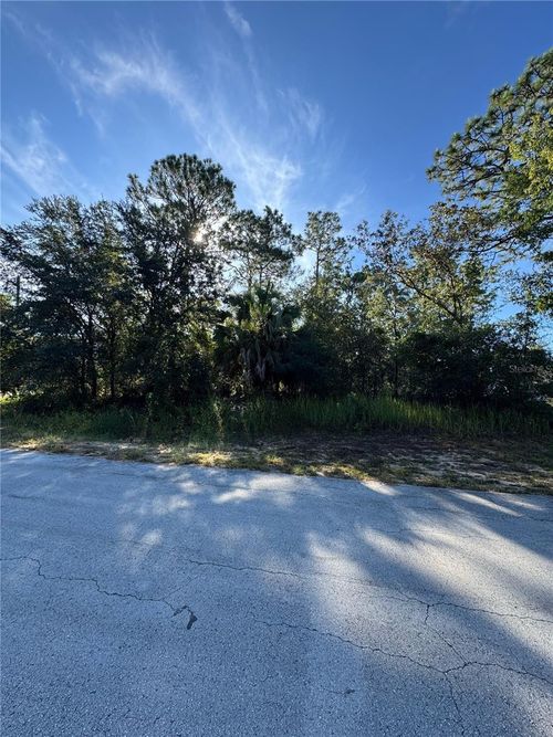 TBD Hemlock Loop Dr, Ocala, FL, 34472 | Card Image