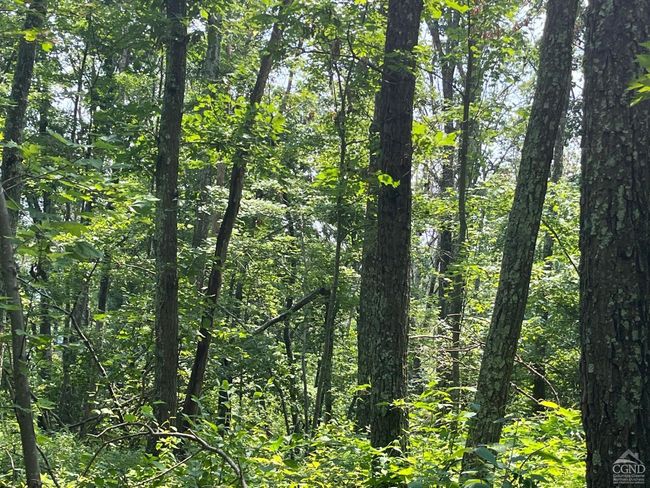 0 Cascade Mountain Rd, Home with 0 bedrooms, 0 bathrooms and null parking in Amenia NY | Image 9