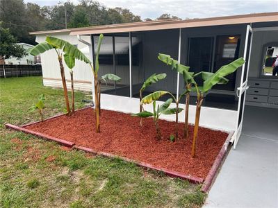 9124 Kosimo Street, House other with 2 bedrooms, 1 bathrooms and null parking in New Port Richey FL | Image 3