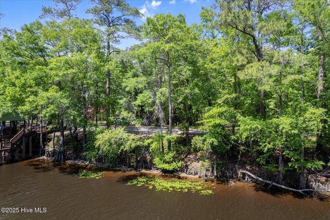 0 Riverview Dr, Home with 0 bedrooms, 0 bathrooms and null parking in Burgaw NC | Image 20