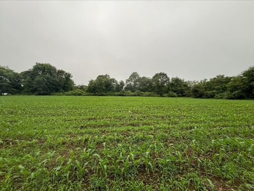 397 Old Harbor Road, Westport, MA, 02790 | Card Image