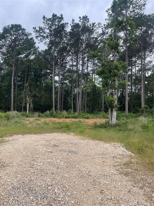 11338 Annie Creek Drive, Willis, TX, 77378 | Card Image