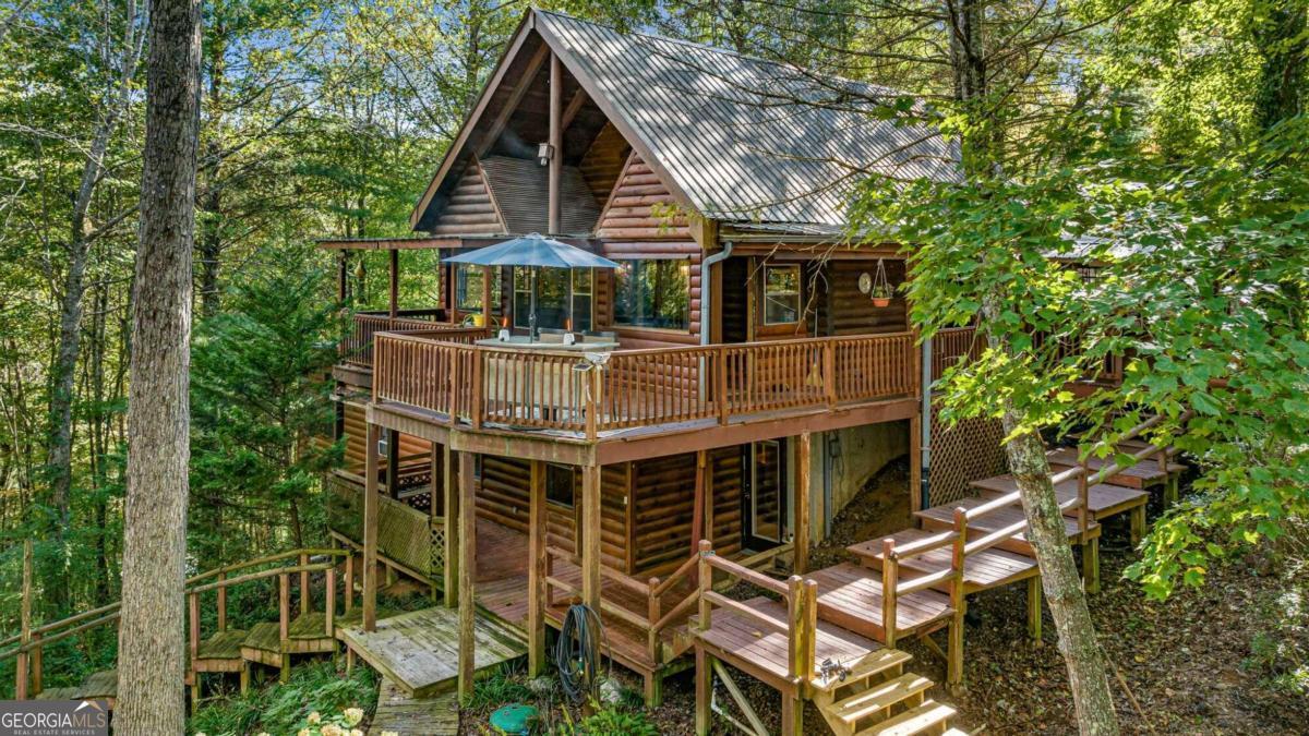 Frosty Mountain Rd, Mineral Bluff, GA 30559 #1