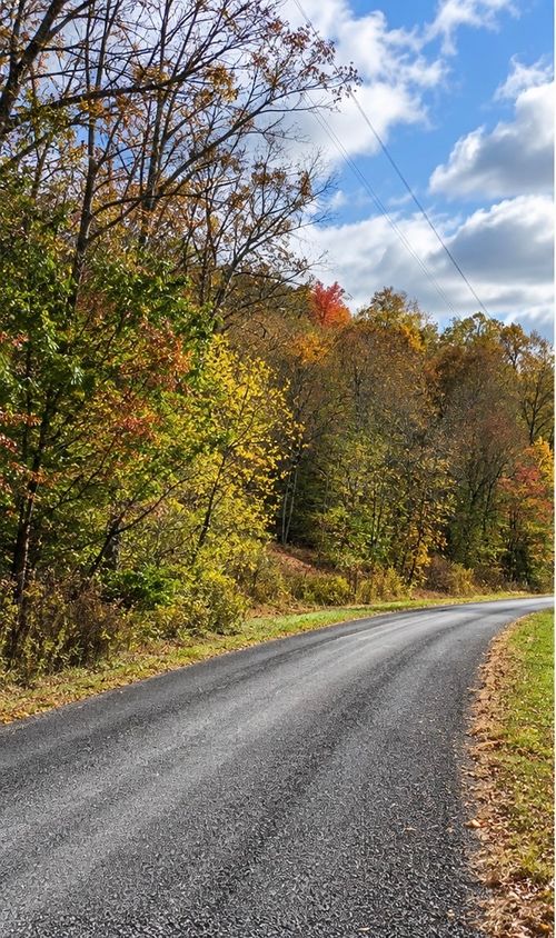 0 Carpenter Rd, Dellrose, TN, 38453 | Card Image