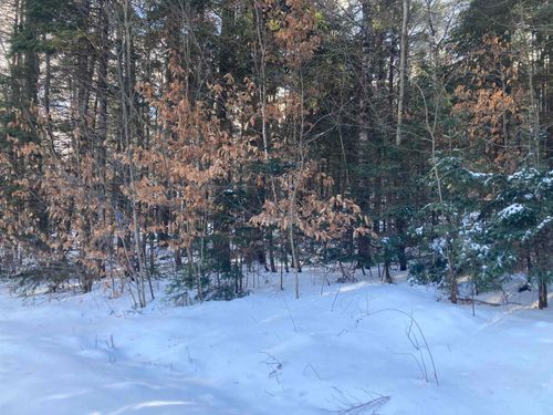 0 Sugarbush Ln, Grafton, NH, 03240 | Card Image