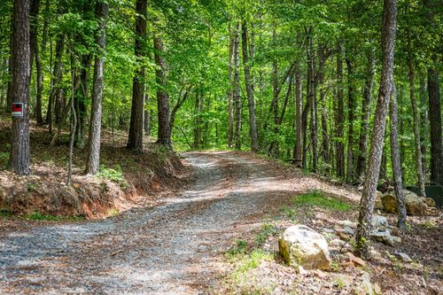 0 Morganton Hwy, Suches, GA, 30572 | Card Image