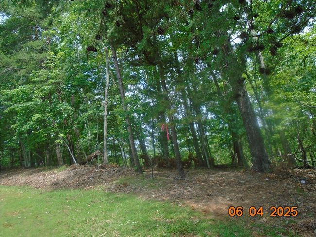 1000 E Cedar Creek Rd, Home with 0 bedrooms, 0 bathrooms and null parking in Sunset SC | Image 18