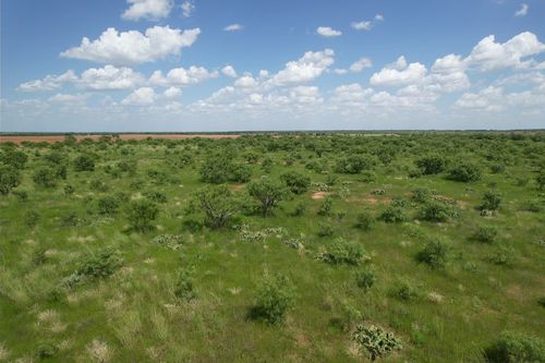 TBD 10+- Acres Cr 495, Hawley, TX, 79525 | Card Image