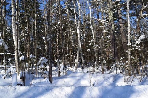 1-97b-36 Howe Hill Road, Benton, NH, 03785 | Card Image