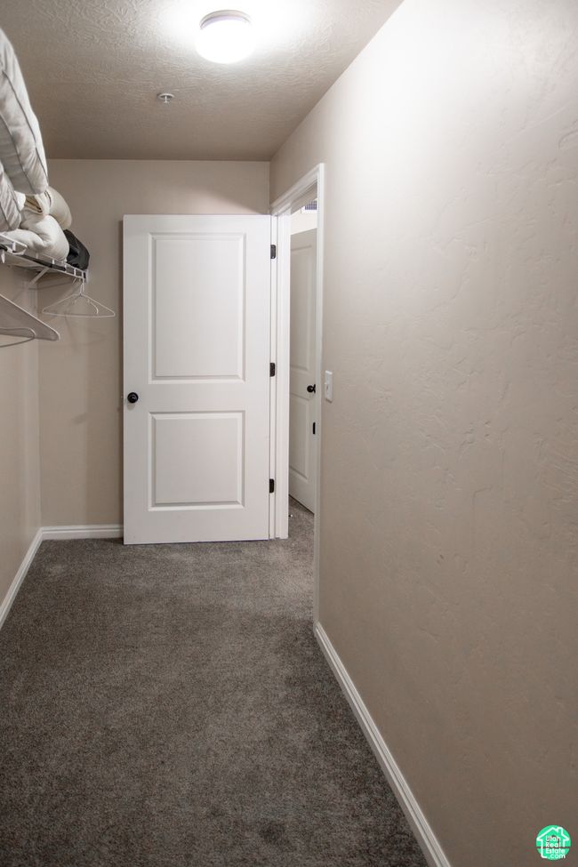 Walk in closet featuring carpet | Image 22