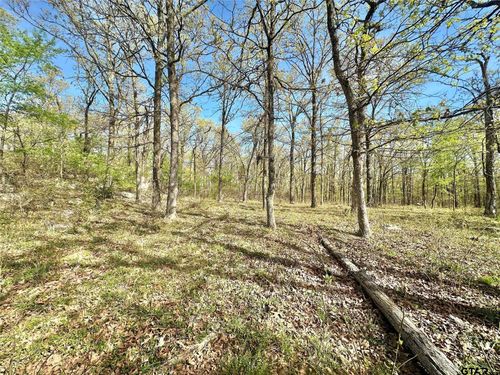 0000 County Road 3641, Sulphur Springs, TX, 75482 | Card Image