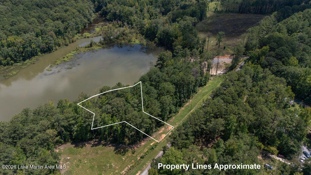 Land in Jacksons Gap 4