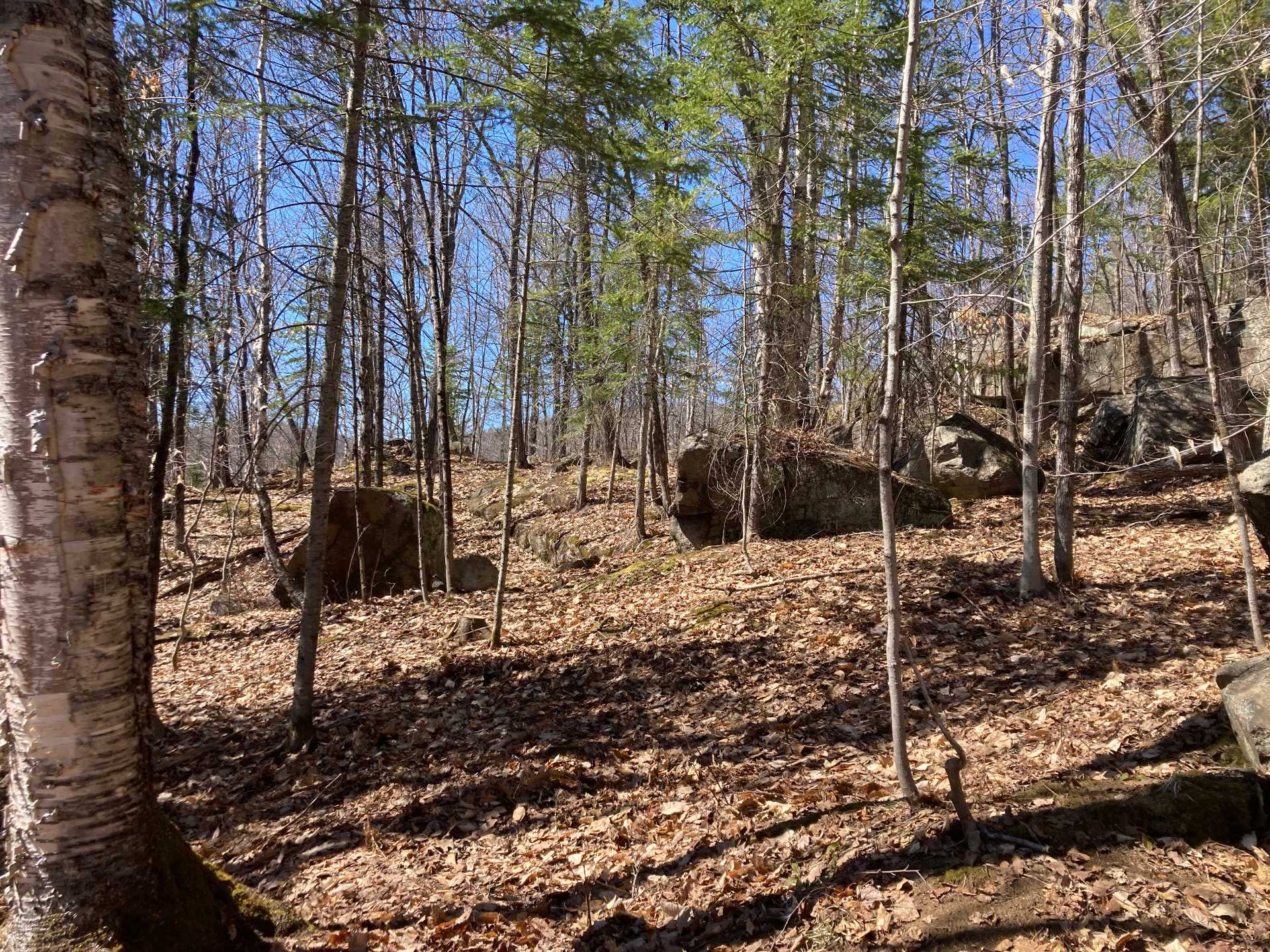 Land in Sainte-Adèle 5