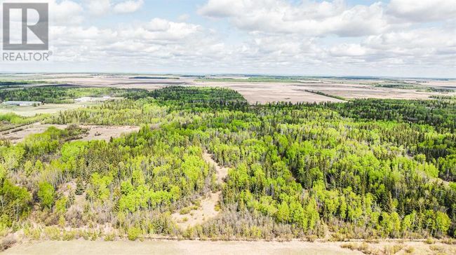 98196 Highway 681, Home with 0 bedrooms, 0 bathrooms and null parking in Rural Saddle Hills County AB | Image 17