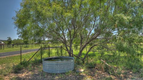 319 River Tree Rd, Leakey, TX, 78873 | Card Image