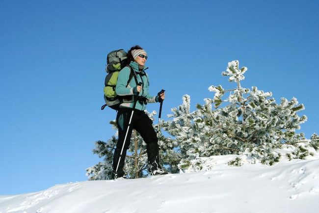 Snowshoe trails | Image 29