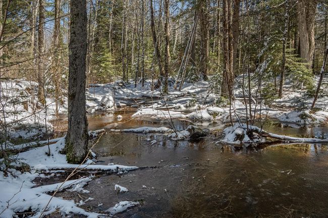 160-acre Pleasant Lake Rd, Home with 0 bedrooms, 0 bathrooms and null parking in Upson WI | Image 29