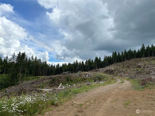 0 NKA 713 Road, Castle Rock, WA, 98611 | Card Image