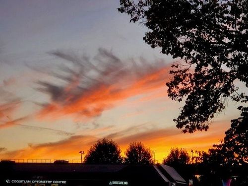 12-20554 118 Ave, Maple Ridge, BC, V2X0S3 | Card Image