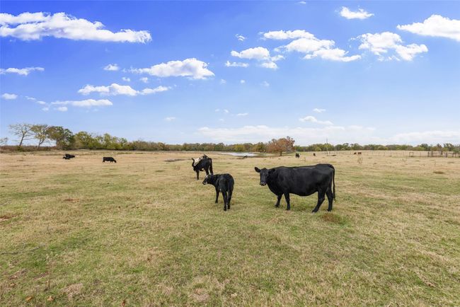 1436 County Road 2320, Home with 4 bedrooms, 2 bathrooms and null parking in Como TX | Image 38