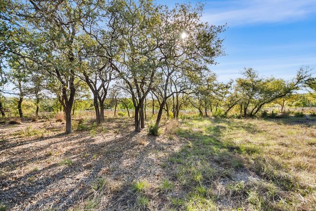 21411 Hamilton Pool Rd, House other with 4 bedrooms, 5 bathrooms and null parking in Dripping Springs TX | Image 34
