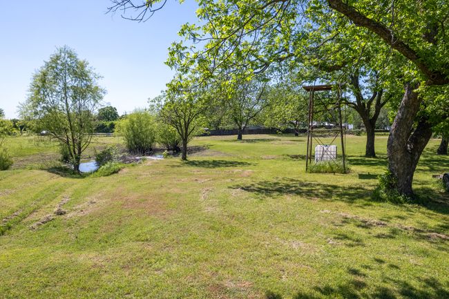 View of green lawn | Image 22