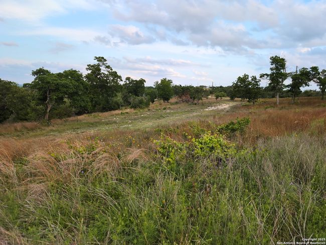 130 Falling Leaves Ct, Home with 0 bedrooms, 0 bathrooms and null parking in Blanco TX | Image 8