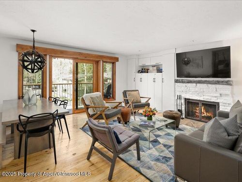 301-1020 E Durant Ave, Aspen, CO, 81611-4120 | Card Image