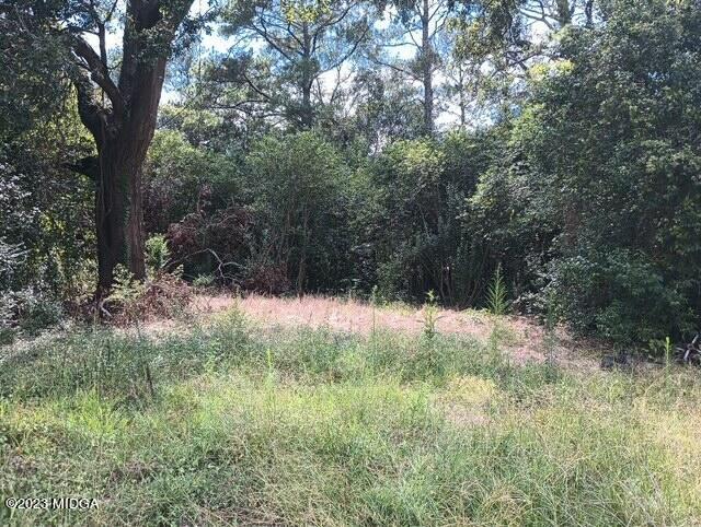 Peavy Cir, Macon, GA 31206