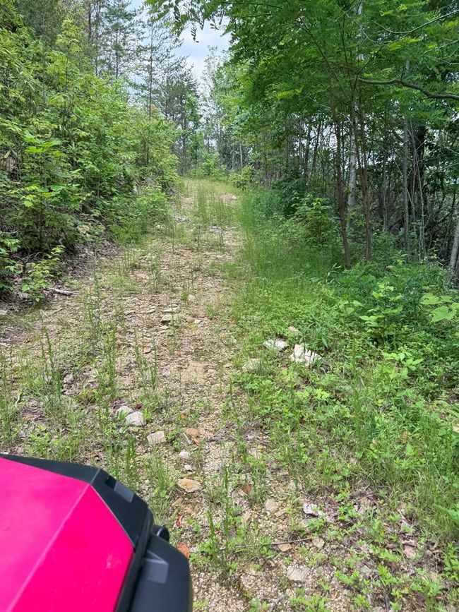 88 acres Bolden Branch Rd, Home with 0 bedrooms, 0 bathrooms and null parking in Andrews NC | Image 21