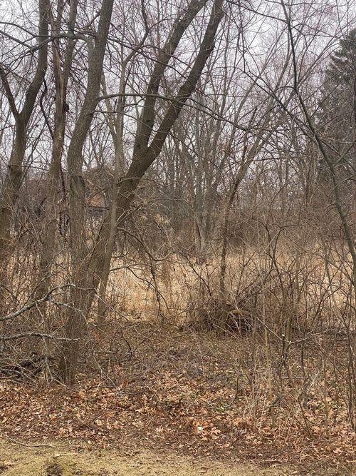 21177 N Valley Rd, Kildeer, IL, 60047-8580 | Card Image