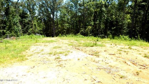 260 Kimes Cv, Sardis, MS, 38666 | Card Image