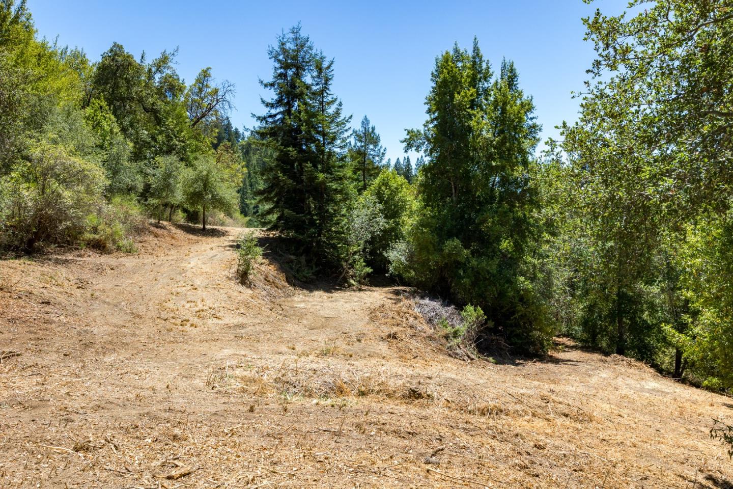 Land in Los Gatos 5