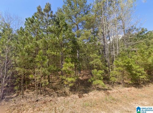 --0 County Road 621, woodland, AL, 36280 | Card Image