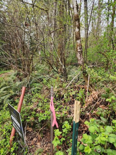 Property markers show corners and easement | Image 3