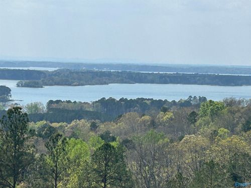 Lot 41 County Road 767, Cedar Bluff, AL, 35959 | Card Image