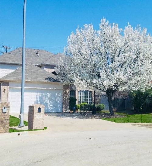 10236 Sourwood Dr, Fort Worth, TX, 76244-5863 | Card Image