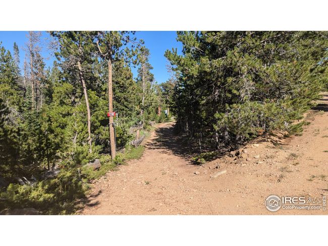 1836 Shoshoni Dr, Home with 0 bedrooms, 0 bathrooms and null parking in Red Feather Lakes CO | Image 29