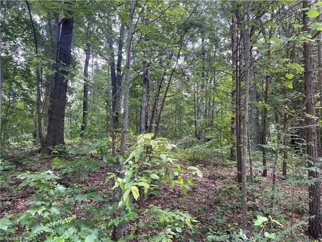 17 Old Mill Rd, Home with 0 bedrooms, 0 bathrooms and null parking in Providence NC | Image 7