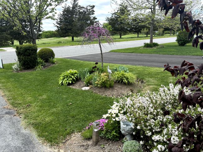 480 Country Club Dr, House attached with 2 bedrooms, 2 bathrooms and 2 parking in Bath ON | Image 6