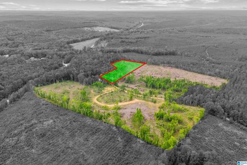 1-1 Active Rd, LAWLEY, AL, 36793 | Card Image