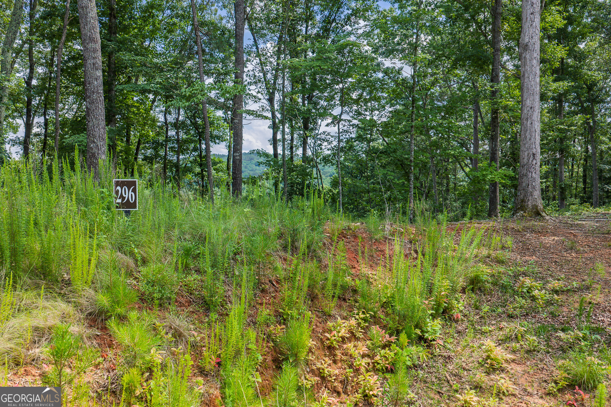 Land in Talking Rock 3