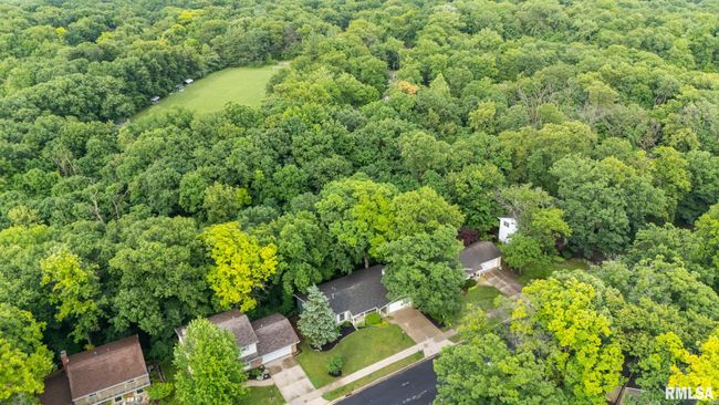 743 W Wonderview Dr, House other with 3 bedrooms, 2 bathrooms and null parking in Dunlap IL | Image 60