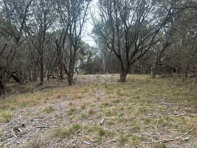 0 Creekside At Camp Verde Phase 2 Lot 151, Home with 0 bedrooms, 0 bathrooms and null parking in Center Point TX | Image 13