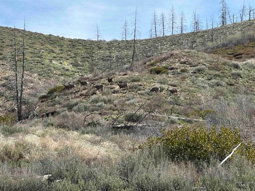 TBD S Lester Creek Rd, Mountain Home, ID, 83647 | Card Image