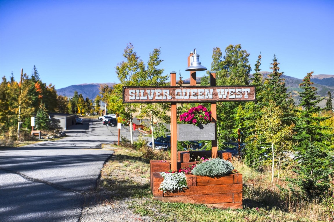 Ryan Gulch Rd, Silverthorne, CO 80498
