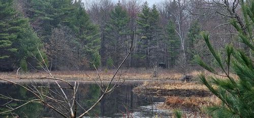 0 Elker Rd, Humbird, WI, 54746 | Card Image