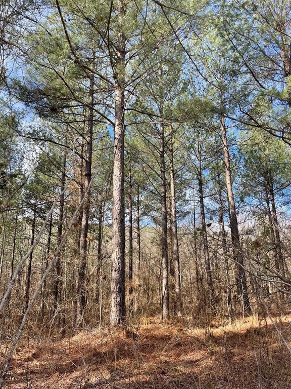 Land in Broken Bow 5