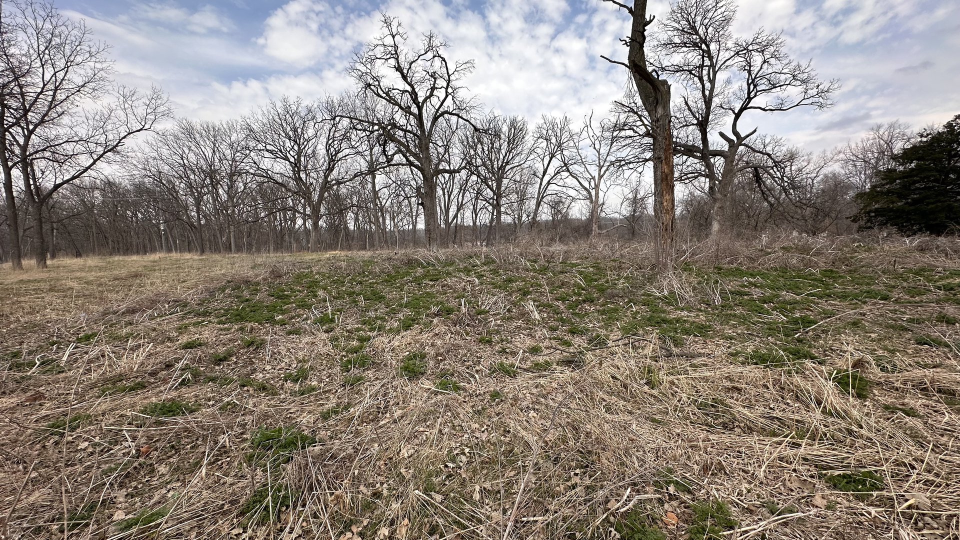 Land in Wayne 4